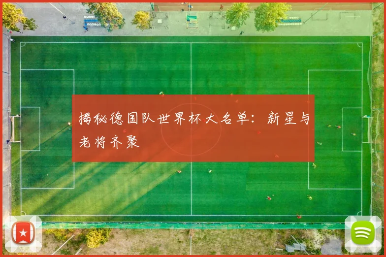 揭秘德国队世界杯大名单：新星与老将齐聚