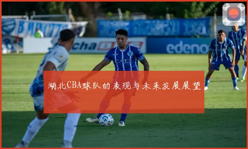 湖北CBA球队的表现与未来发展展望
