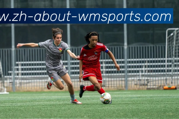 App Interface Preview